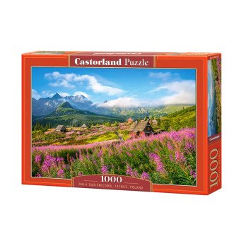 1000 - piece puzzle  Hala Gąsienicowa, Tatras, Poland