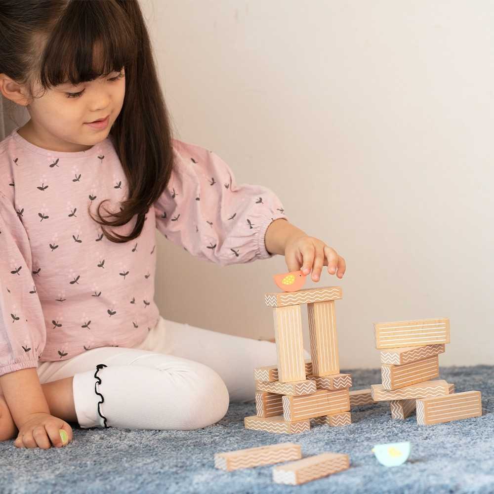 KLASIKINIS PASAULIS Edukacinis paukščių blokų dėliojimo žaidimas 23 el.